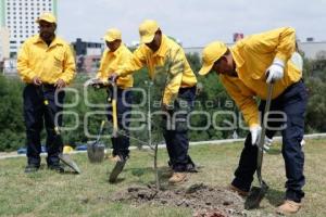 GOBIERNO ESTATAL . BOSQUE URBANO