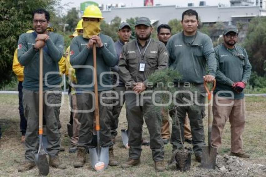 GOBIERNO ESTATAL . BOSQUE URBANO