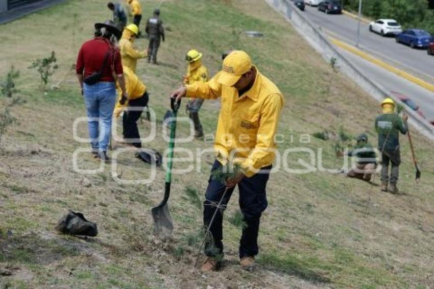 GOBIERNO ESTATAL . BOSQUE URBANO