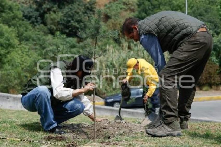 GOBIERNO ESTATAL . BOSQUE URBANO