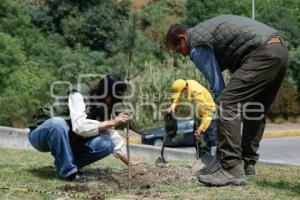 GOBIERNO ESTATAL . BOSQUE URBANO