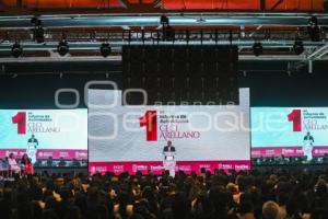 PRIMER INFORME CECILIA ARELLANO