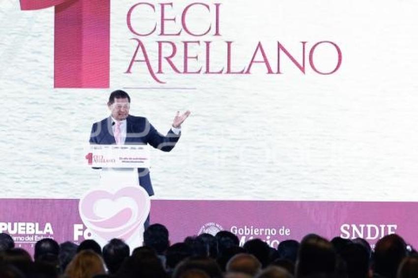 PRIMER INFORME CECILIA ARELLANO