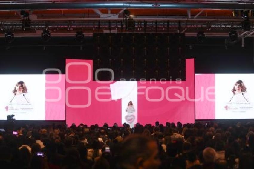 PRIMER INFORME CECILIA ARELLANO