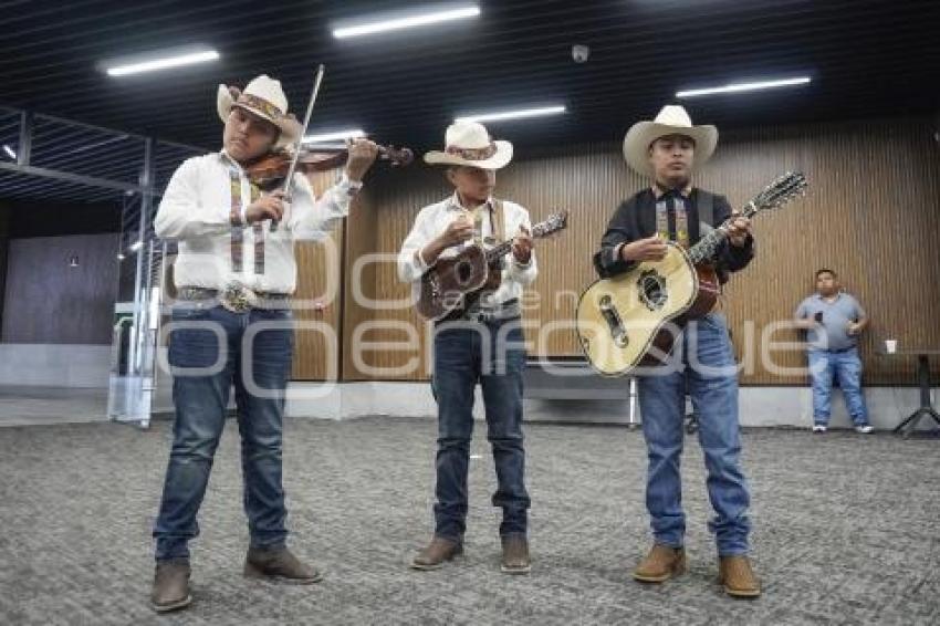 FESTIVAL CULTURAL DE LA SIERRA