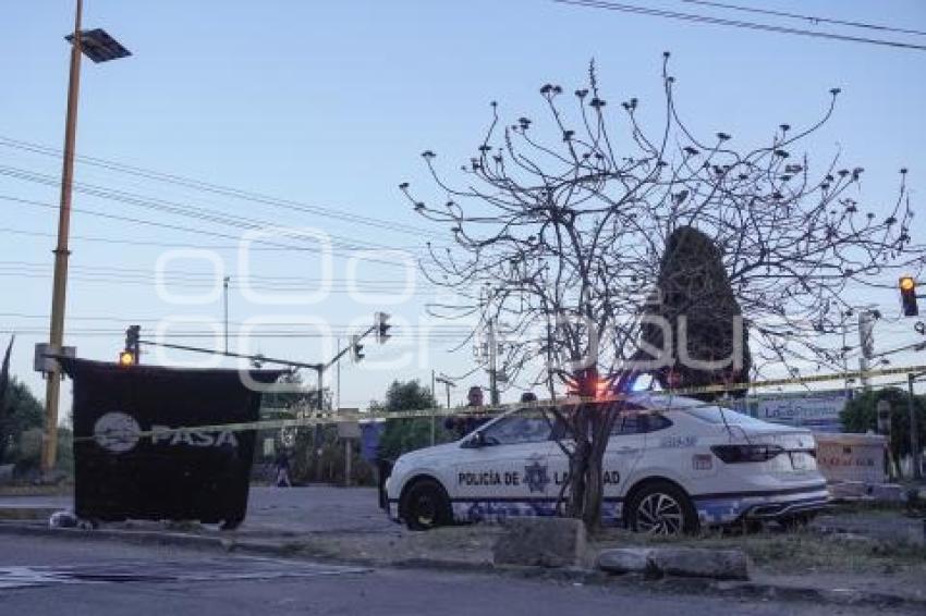 NOTA ROJA . FETO HUMANO