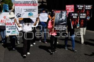 MANIFESTACIÓN . SAHARA EMILIA