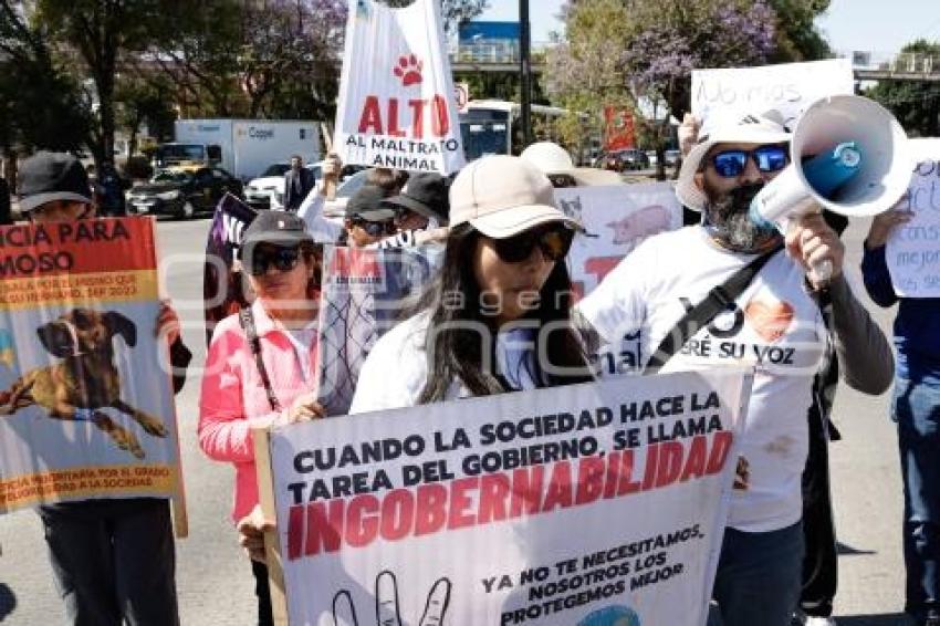 MANIFESTACIÓN . SAHARA EMILIA