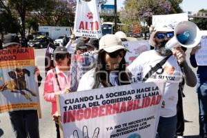 MANIFESTACIÓN . SAHARA EMILIA