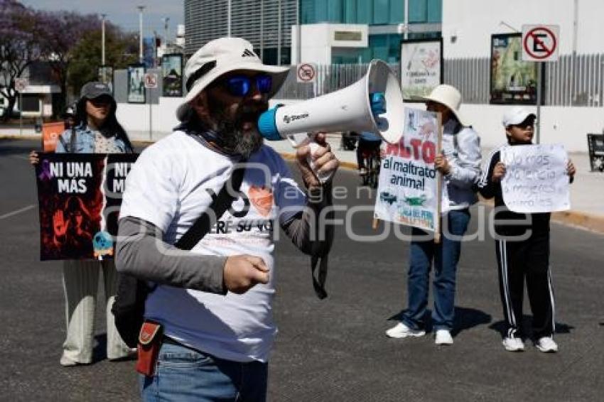 MANIFESTACIÓN . SAHARA EMILIA