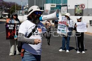 MANIFESTACIÓN . SAHARA EMILIA