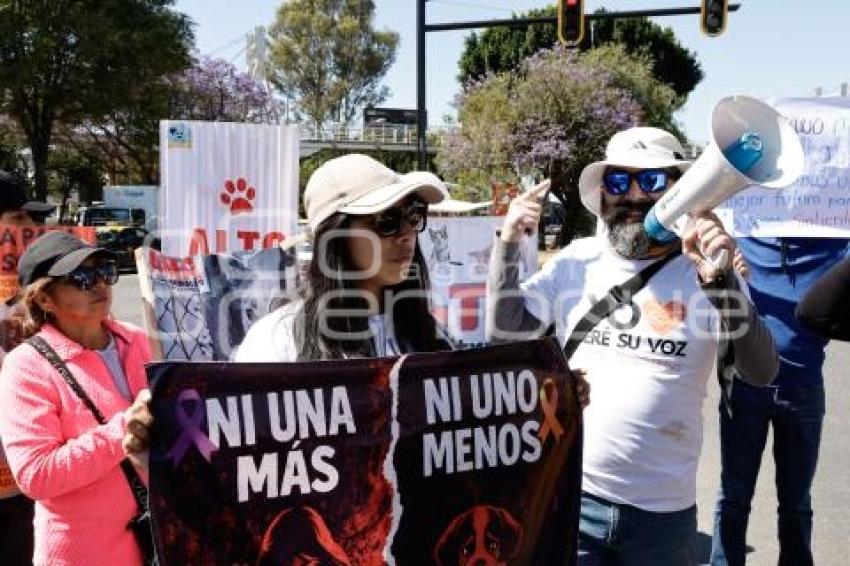 MANIFESTACIÓN . SAHARA EMILIA