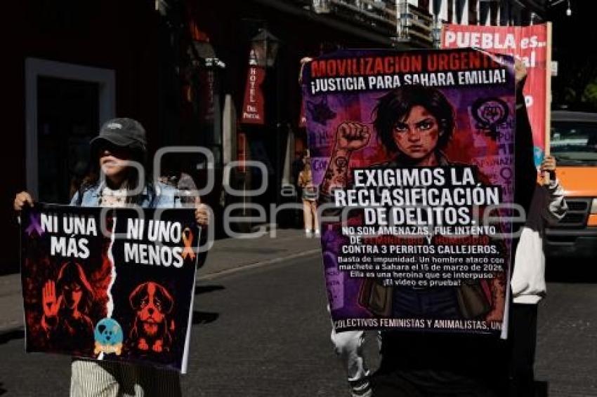 MANIFESTACIÓN . SAHARA EMILIA