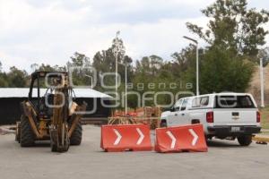 FLOR DEL BOSQUE . REHABILITACIÓN
