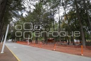 FLOR DEL BOSQUE . REHABILITACIÓN