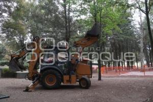 FLOR DEL BOSQUE . REHABILITACIÓN