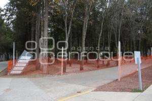 FLOR DEL BOSQUE . REHABILITACIÓN