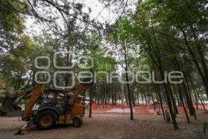 FLOR DEL BOSQUE . REHABILITACIÓN