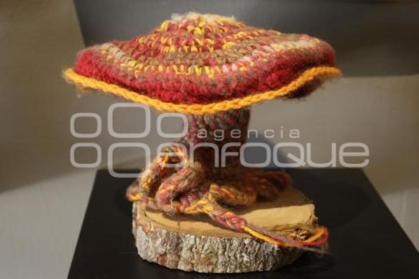 ARTISTA ROBERT SMITH