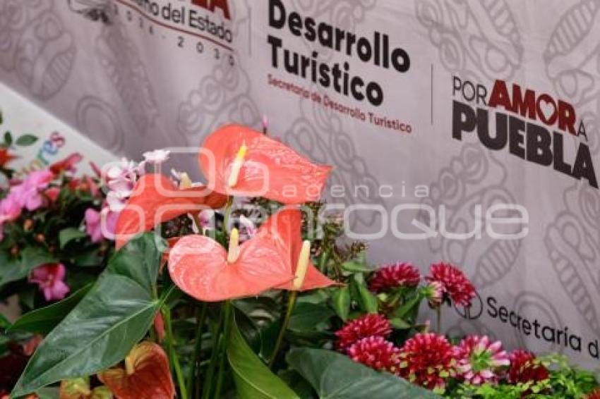 TURISMO . EXPO FLOR TENANGO