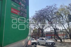 PRECIO GASOLINA 